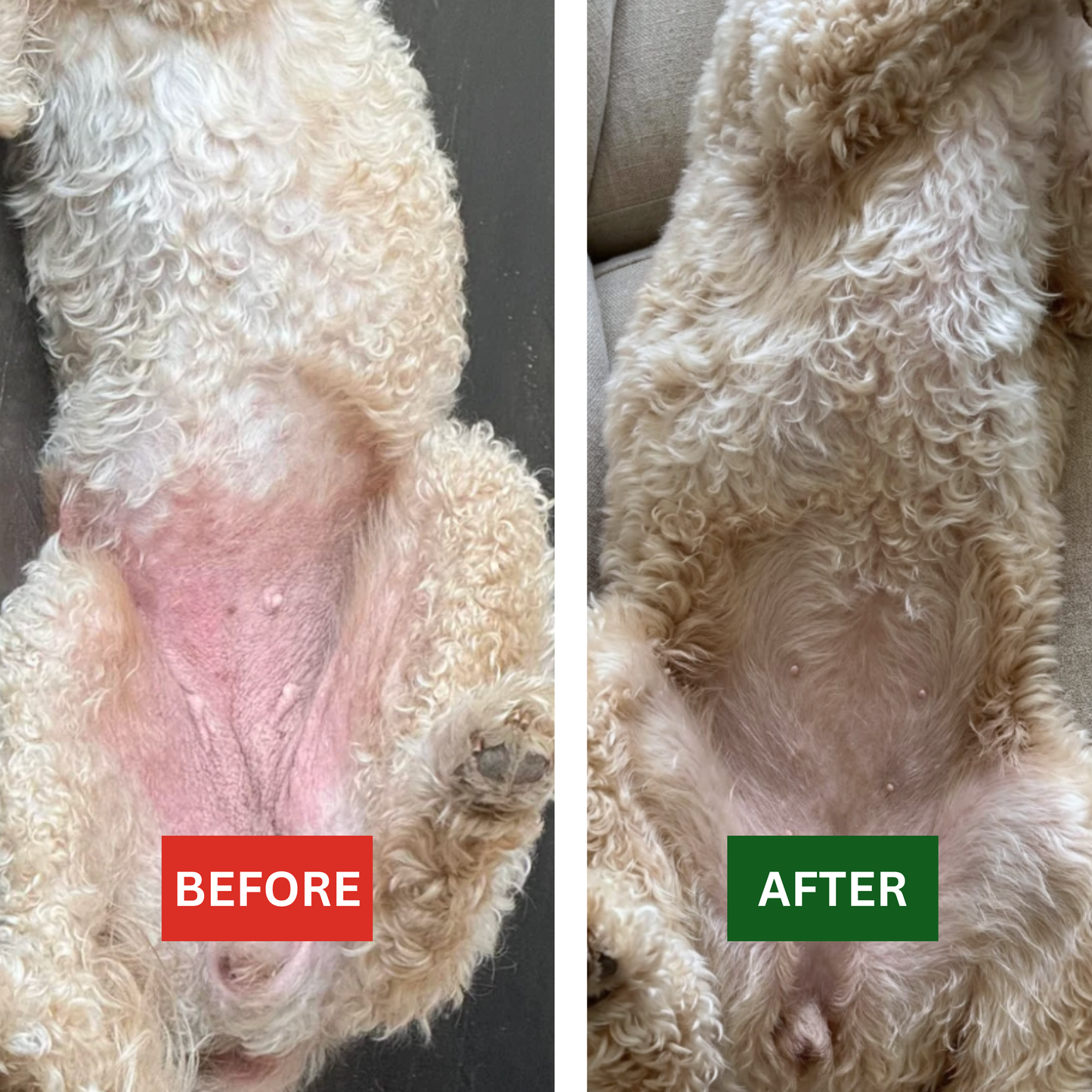 120 Itch Free Probiotic Chews